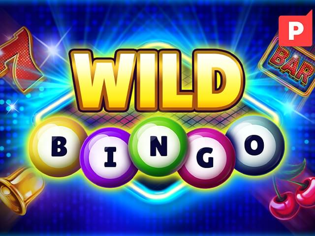 77000 bet Bingo Selvagem